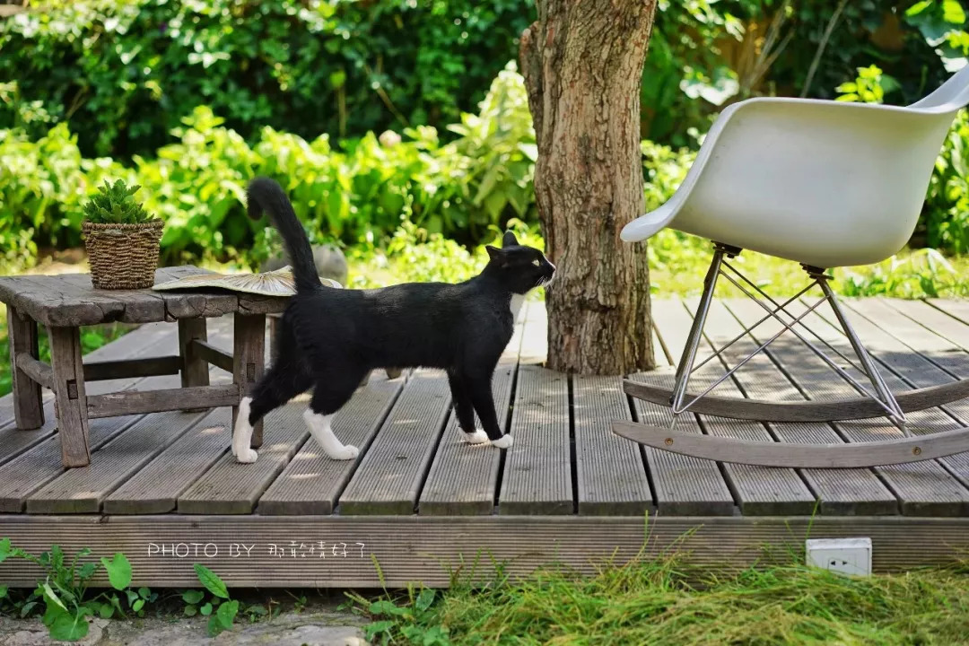 山楂树下农家,辉县山楂树下农家