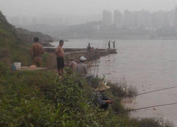 江边手竿赤眼鱼怎么钓,赤江钓鱼