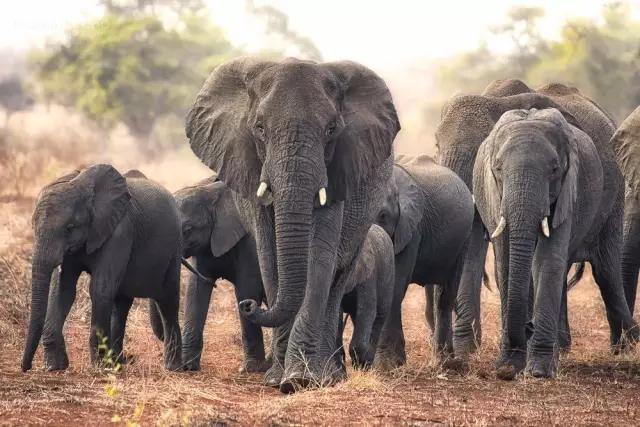 全球颜值最高的国家,盘点世界上最菜的国家