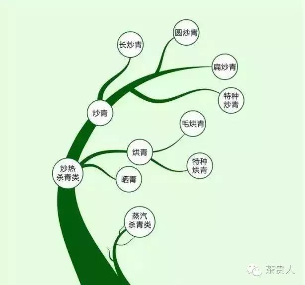 纯手工炒绿茶烘焙工艺,烘焙日照绿茶怎么做的