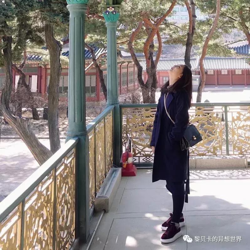 如果这辈子只能选3辆车你选哪3辆,假如这辈子只能买一只包