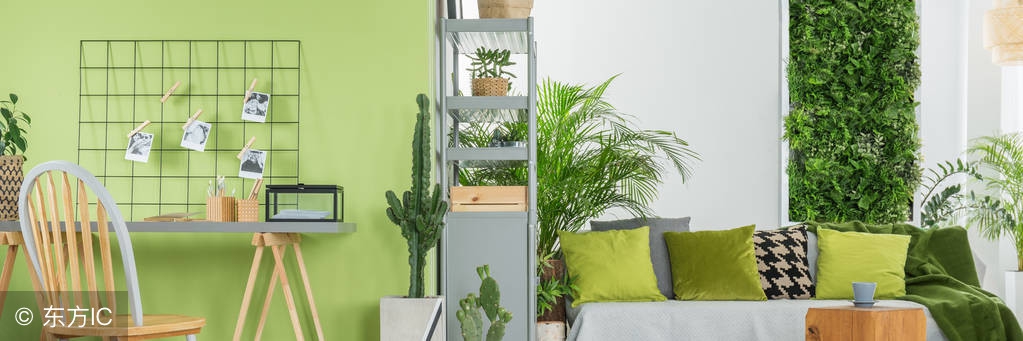 去除装修甲醛最有效的方法,床垫有甲醛怎么去除最快方法