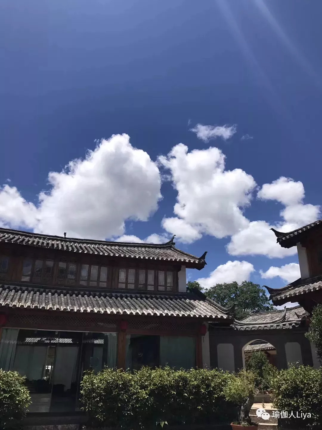 Liya老师寰宇瑜伽5日工作坊——丽江站