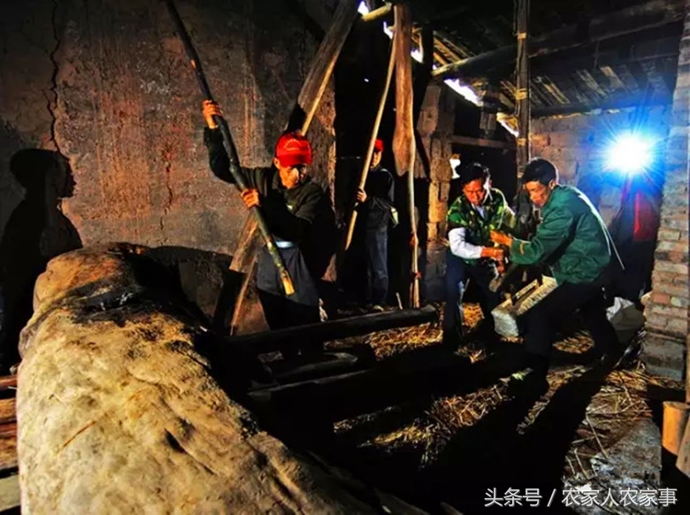 探访赣南传统手工榨‘’木梓油‘’（茶油）的工艺流程