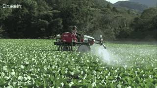 日本农民怎么种地,老农种地真容易