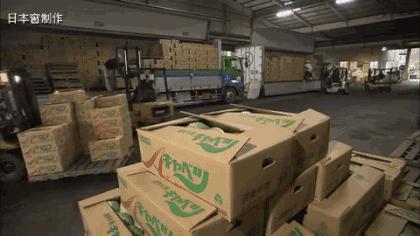 日本农民怎么种地,老农种地真容易