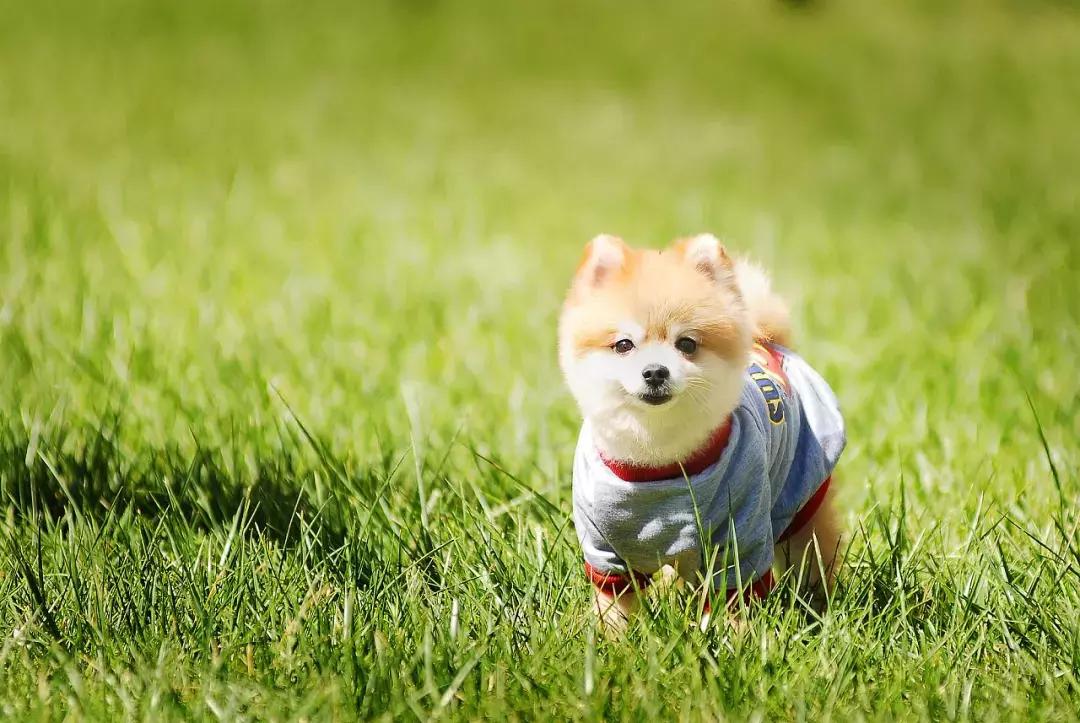 成都批发市场二手最便宜的货源,成都室内装饰品摆件最大批发市场