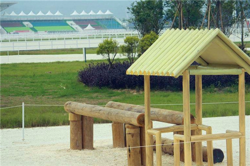 香港赛马会沙田马场,香港从化马场视频