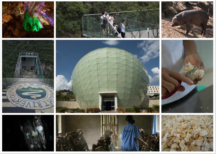 热点解读乡村振兴,通江乡村振兴