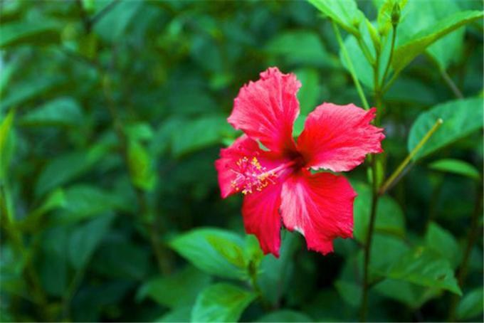 独行三亚，盘点三亚最美的美景和美食