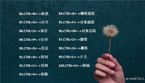 cad常用快捷键十个,cad入门必备10个快捷键