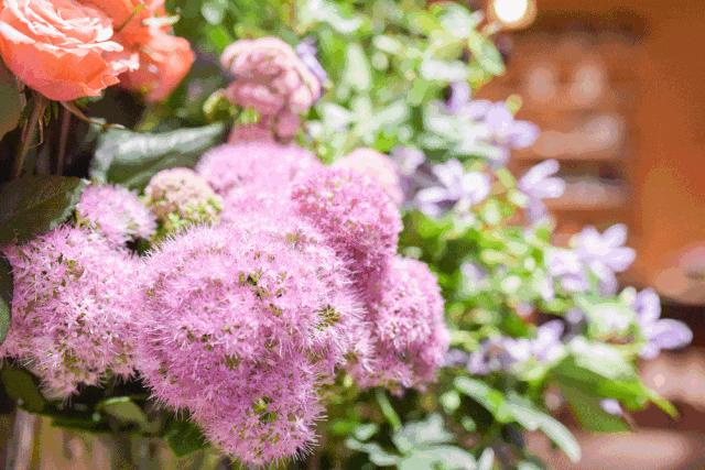 杭州鲜花西餐店,杭州鲜花西餐厅