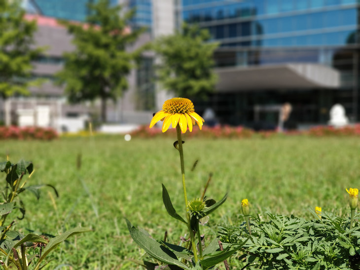 涓夋槦galaxynote20ultra娣卞害娴嬭瘎,涓夋槦galaxynote20ultra5g