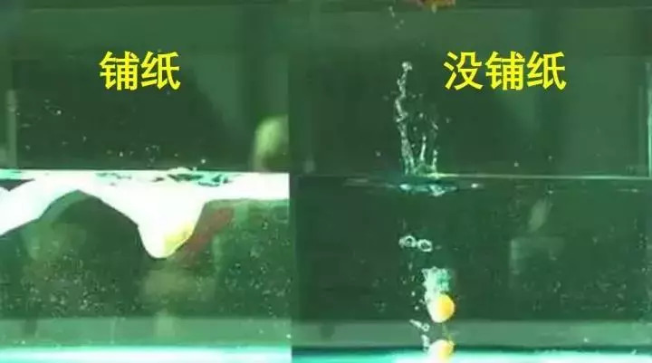 如何避免拉屎溅到屁股,如何避免拉屎时水溅到屁股上