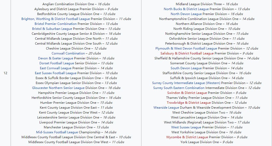 英国足球联赛体系介绍,斯科尔斯欧冠首秀