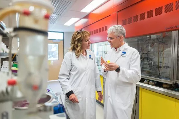 脐带间充质干细胞的扩增,脐带血干细胞国内外研究现状