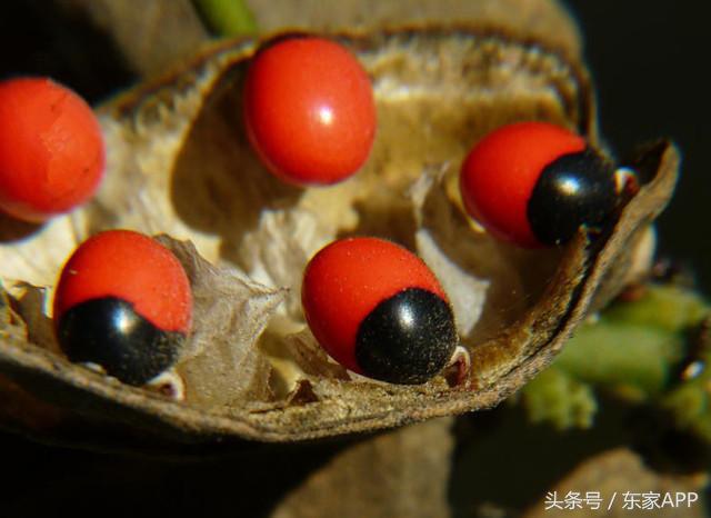 文玩手艺人,什么文玩手串不怕汗直接上手戴