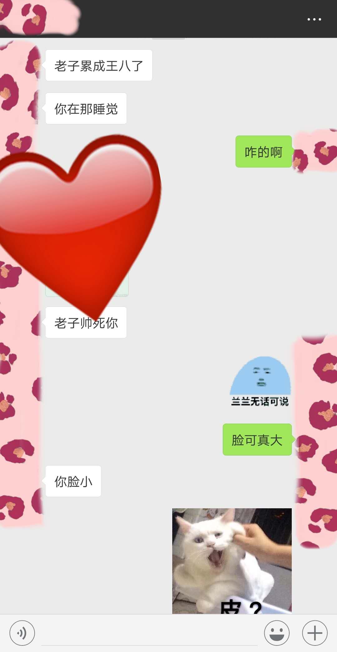 有一个东北男朋友是怎样一种体验？