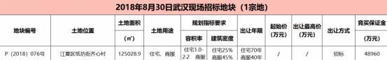 “金九”江夏纸坊东站12.5万方地首拍！打造武汉南部生态新城