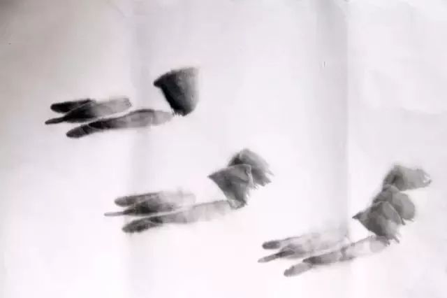 简单的画虾教程儿童,最简单的画虾的方法