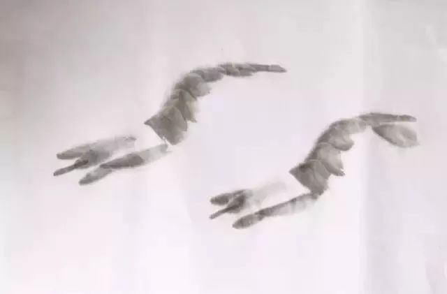 简单方法画虾,怎样画虾教学视频