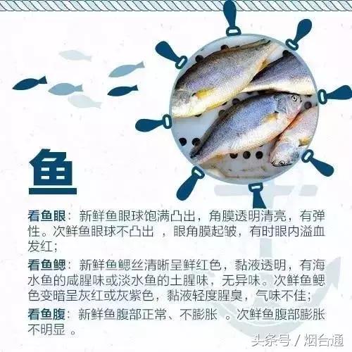 烟台开海现场直播视频,开海现场视频直播