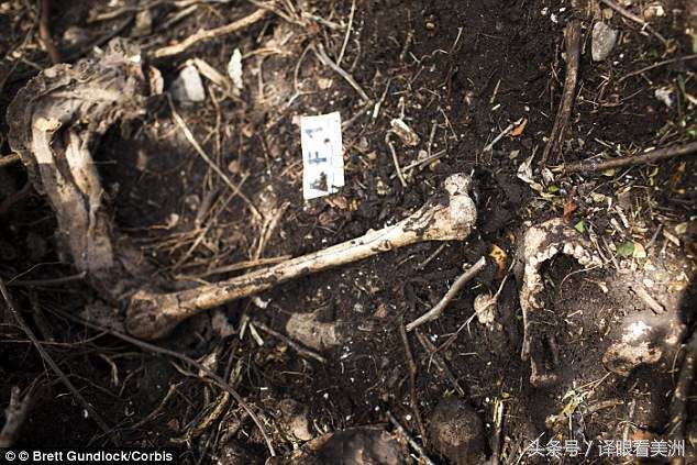 墨西哥43名学生生死不明,引起世界民愤,新总统第一战要解决悬案