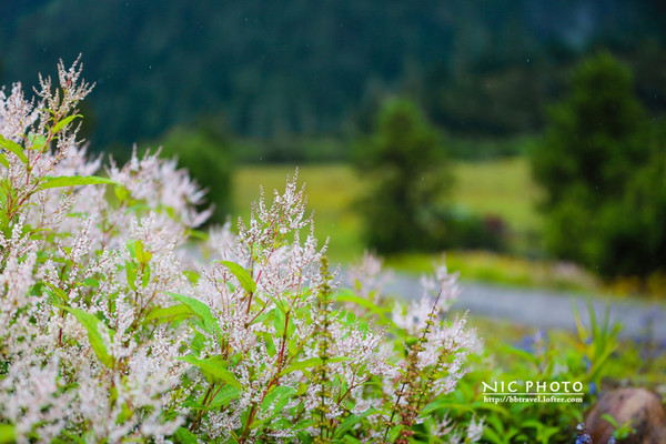 九月份的江南风景,四月的江南风景