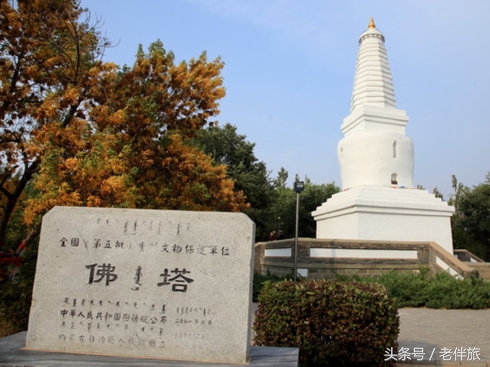 知青疏桐回望岁月：重游“第二故乡”内蒙通辽忆初心