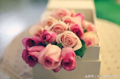 辽中玫瑰基地批发,辽中玫瑰种植基地