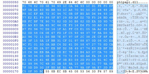 以自定义格式反转恶意软件｜隐藏的蜜蜂元素