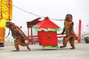 属相的作用是什么,属相有什么寓意