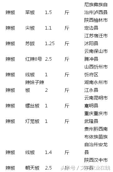 9月份辣椒的价格行情,徐闻辣椒价格最新行情