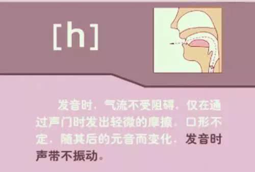 英语48个音标发音详细教程,英语48个音标的正确发音和技巧