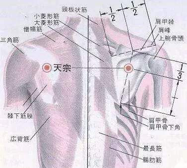 中风后遗症推拿,中风推拿治疗思路