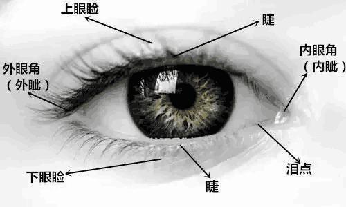 纹绣下眼线雾状教程,眼线纹绣的正确操作全过程