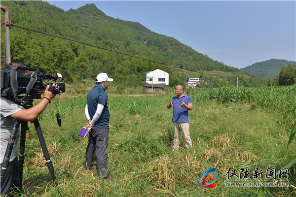 cctv7致富经节目现在什么时间播放,cctv7的致富经栏目是几点播放