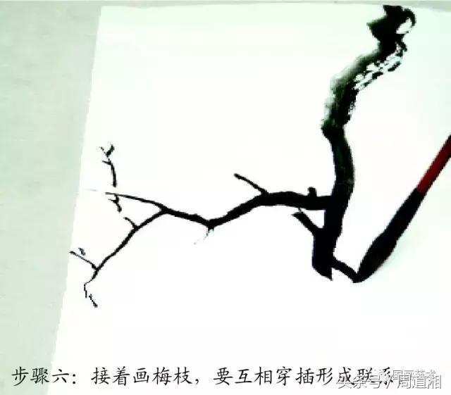 梅花花朵的国画画法视频,大写意梅花枝干国画画法