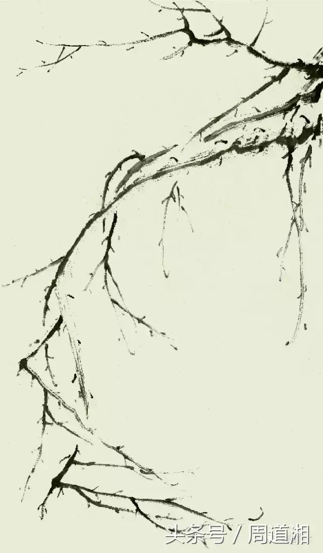 梅花花朵的国画画法视频,大写意梅花枝干国画画法