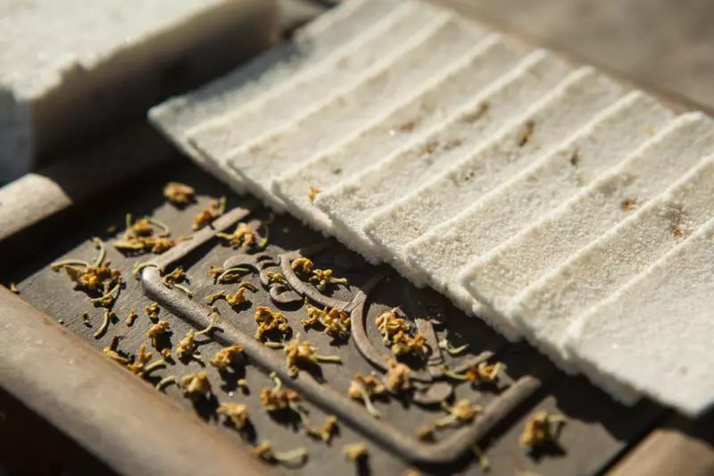 苏州十大必去老字号,苏州十家中华老字号入选