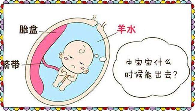 怀孕3个月胎儿趴着怎么办,三个月胎儿趴肚子里视频