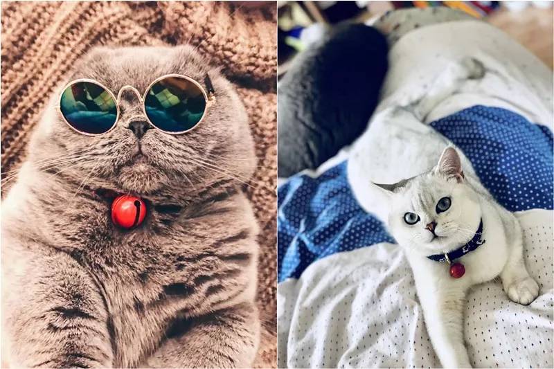 上海知名调酒师,上海最帅的调酒师