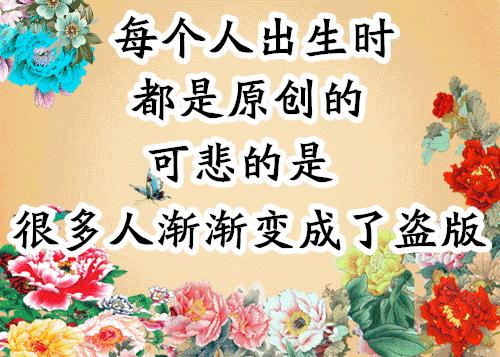 会动的照片大全,会动的11张图片