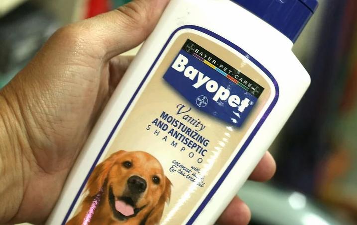 汽车如何防霉除异味,汽车异味怎么保养清洗