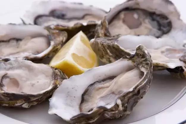 甲鱼生蚝牛鞭鸡腰子煲汤,甲鱼生蚝牛鞭鸡腰子哪个好