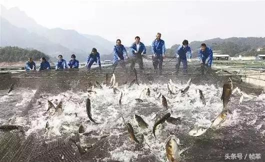 武汉一个本该热闹的城市,武汉真是个热情的城市