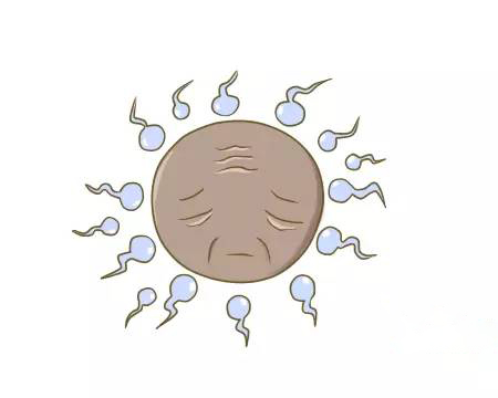 空孕囊是什么形状,空孕囊是什么意思