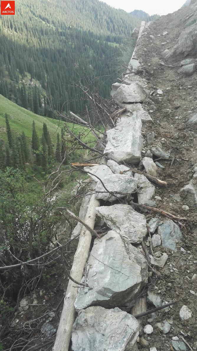 一次偶然，铸就永恒，十年驴龄的他“长存”于此-乌孙驴行记