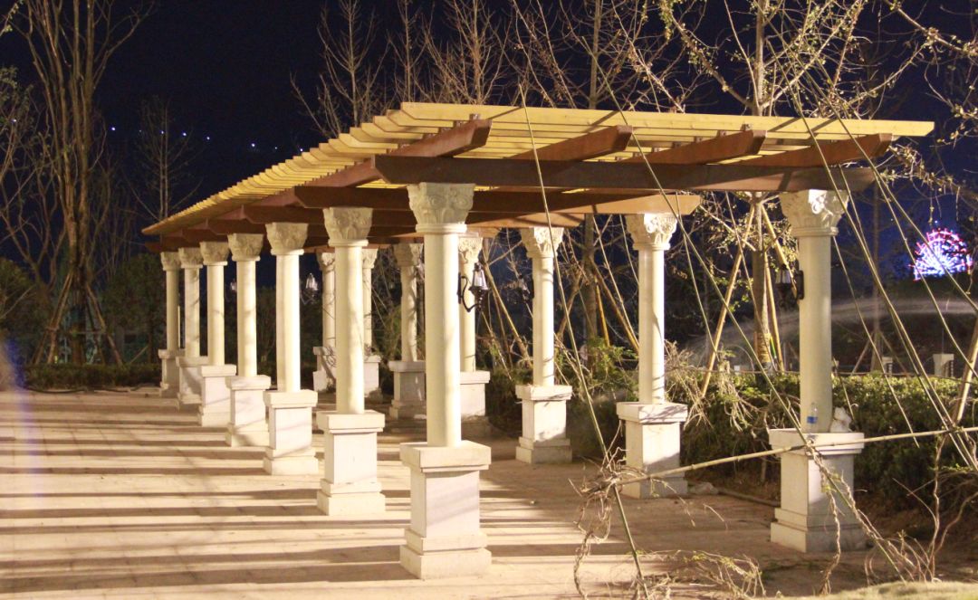 多图！电子科大宜宾研究院开学啦，上千名新生……