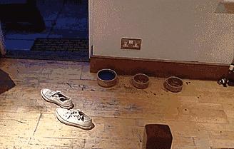 鏉ㄨ秴瓒婅劚闉嬬┛琚滃瓙,鏉ㄨ秴瓒婂洖搴旈椈鑷瀷